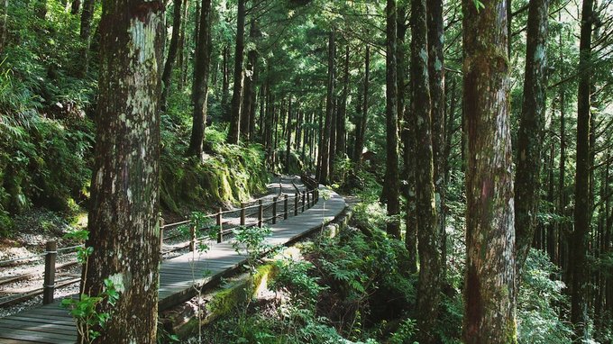 太平山國家森林遊樂區